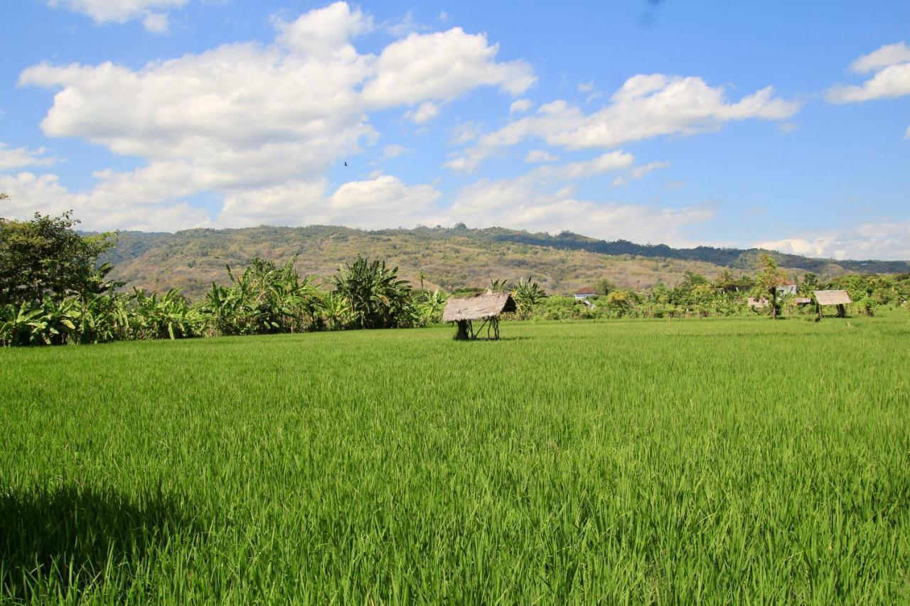 Villa Surgawi Lovina Exteriér fotografie
